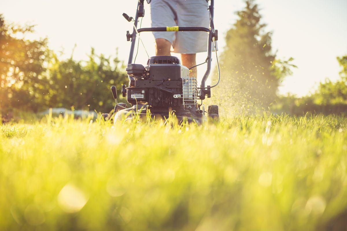 Person cutting grass with a lawn mower